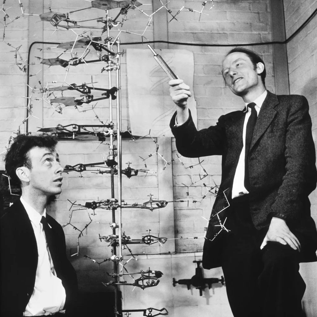 Francis Crick y James Watson, tripeando con la doble hélice.