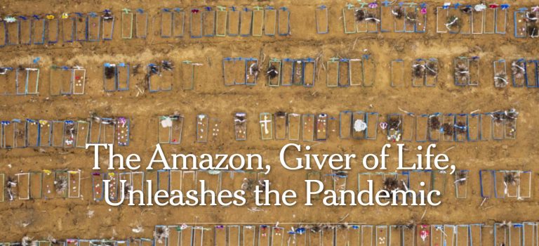 “El Amazonas, hacedor de vida, desata la pandemia”