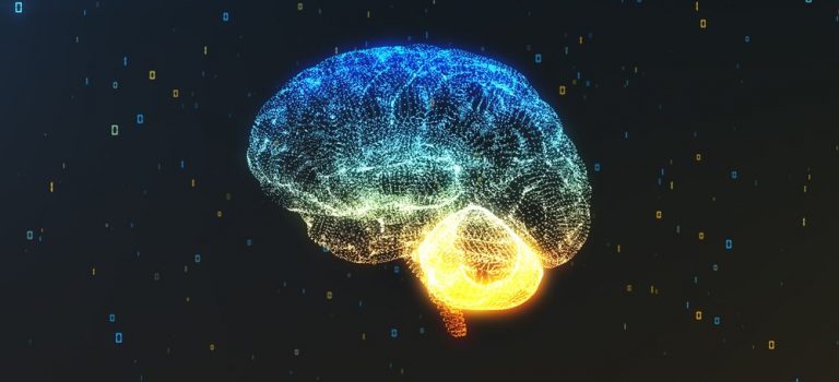 Una única dosis de ayahuasca provoca cambios a largo plazo en dos importantes redes cerebrales