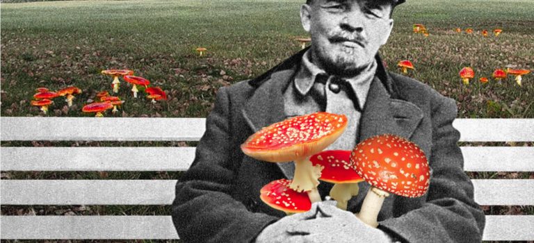 De cómo la URSS aniquiló miles de chamanes siberianos y ‘mortalizó’ la ‘Amanita muscaria’