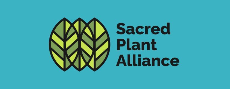 Sacred Plant Alliance: las iglesias visionarias de EE.UU. hacen frente común